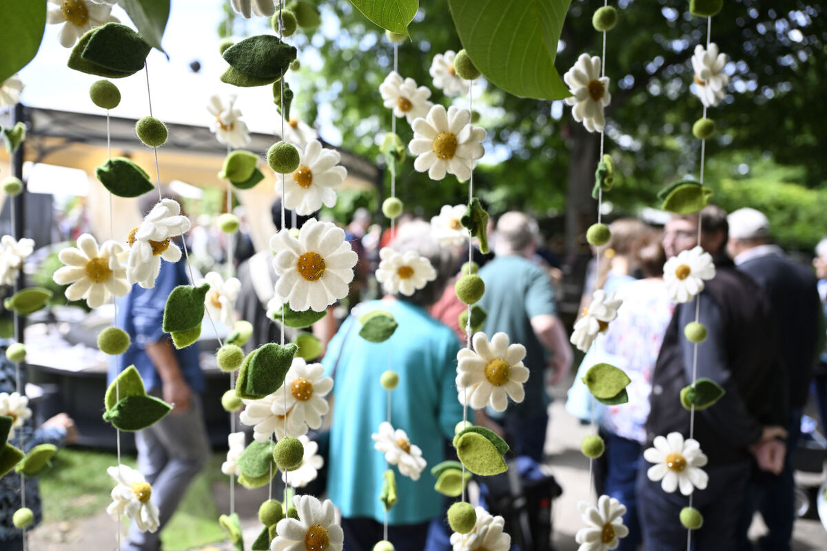 gardenlife_29_05_25_pieth_online_5