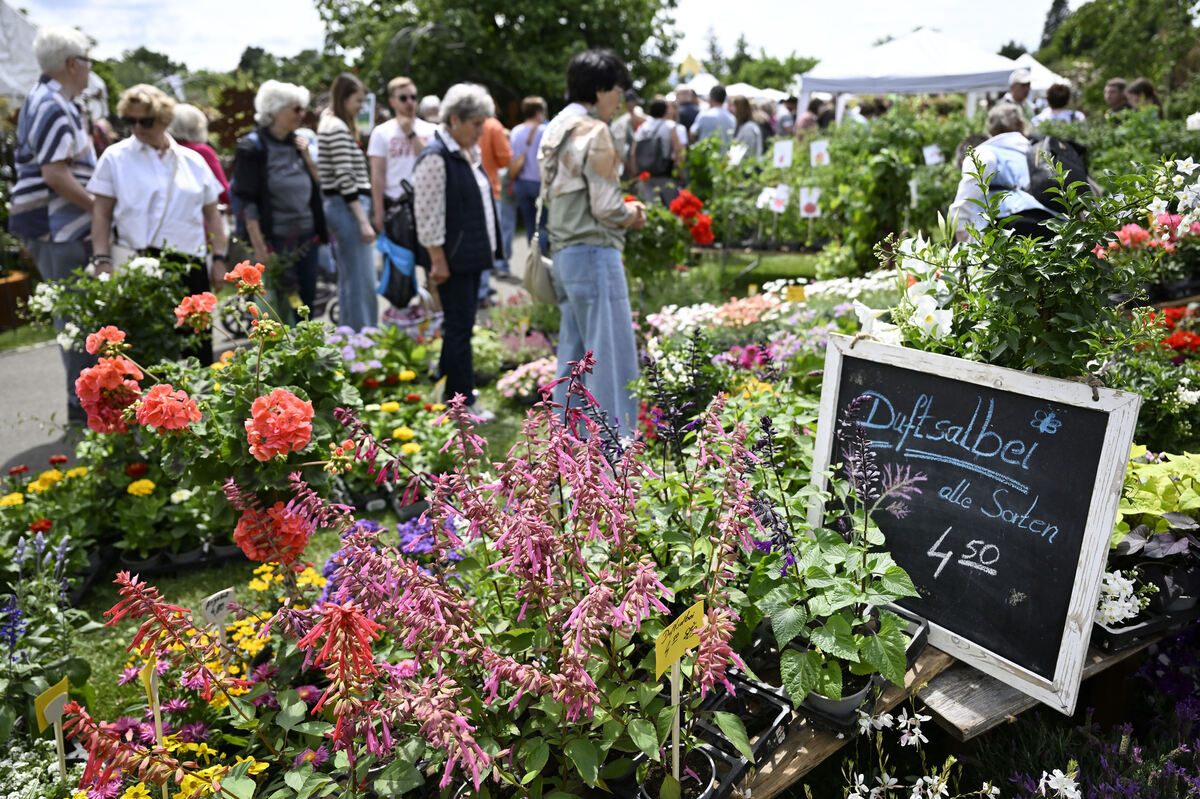 gardenlife_29_05_25_pieth_online_8