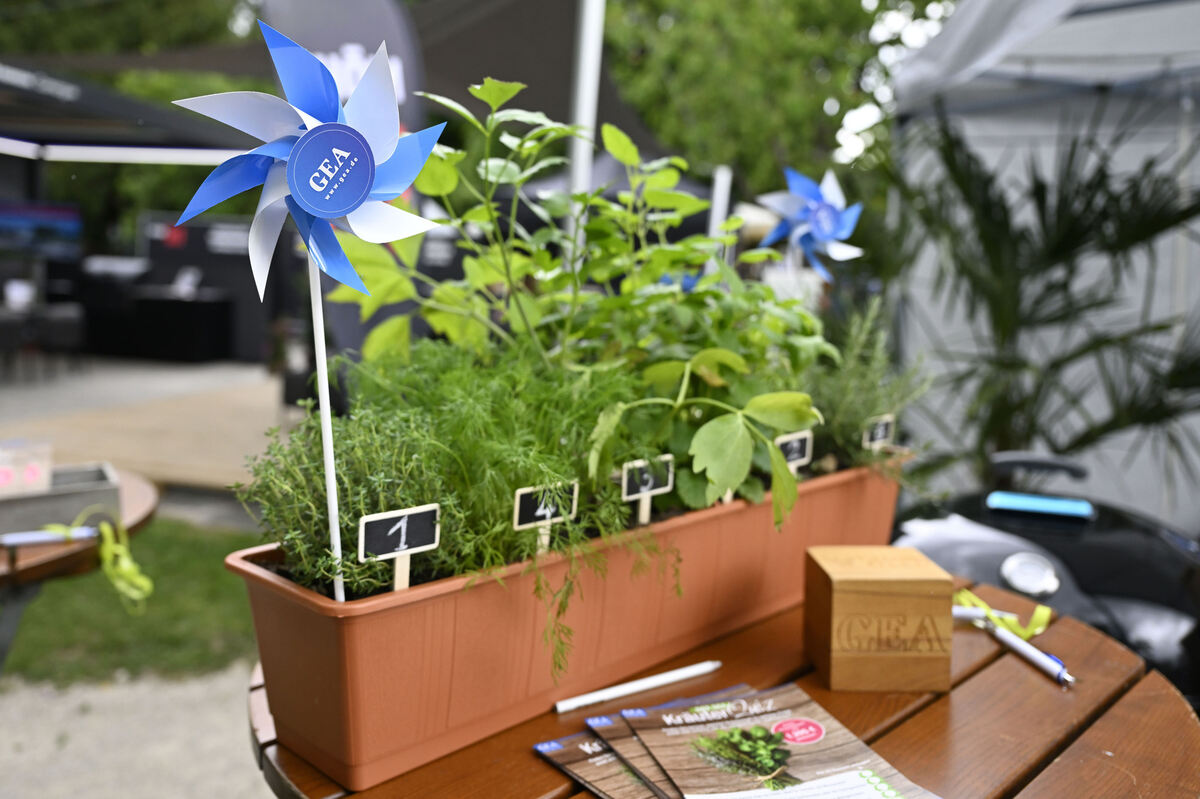 gardenlife_29_05_25_pieth_online_14