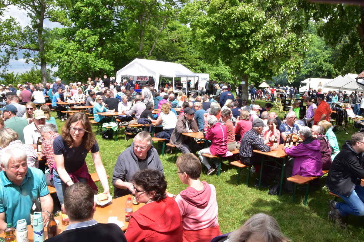 Bolberg 4 FOTO MEYER