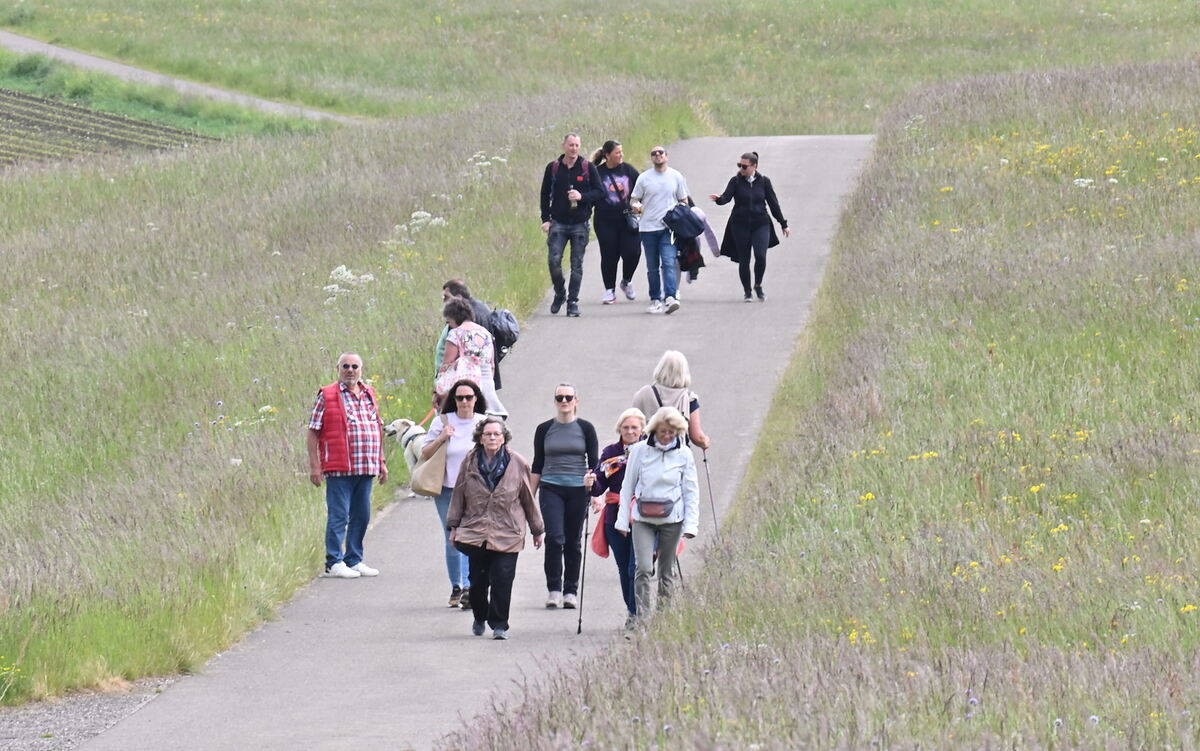 Spaziergänger zum Bolbergfest des Musikvereins Talheim FOTO MEYER