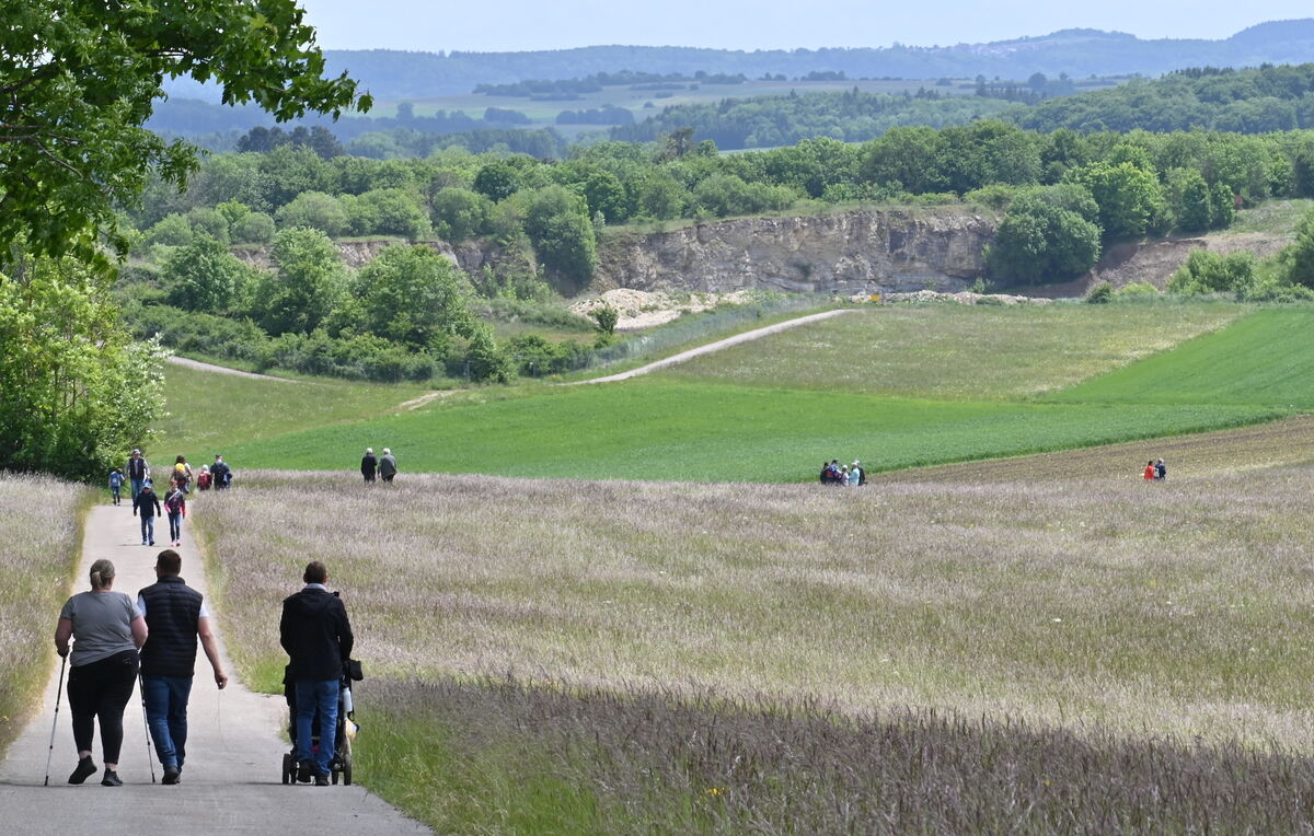 Wanderer zum Bolbergfest des Musikvereins Talheim FOTO MEYER