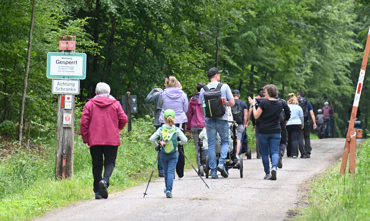 Wandergruppe im Schönbuch FOTO MEYER