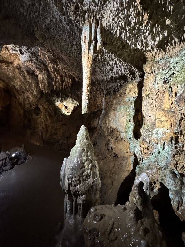 Bärenhöhle Stalaktit