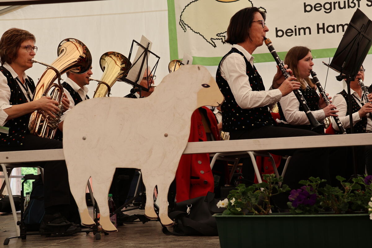 Hammelessen MV Upfingen (7)