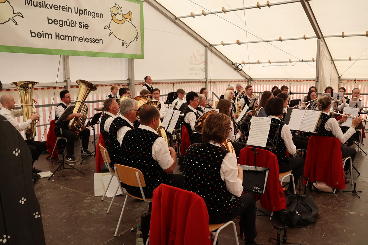 Hammelessen MV Upfingen (13)