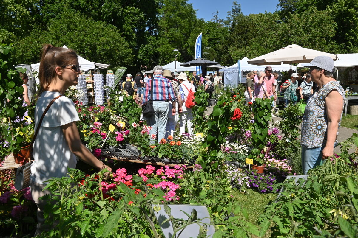 GartenLife2025FOTOS MEYER_42