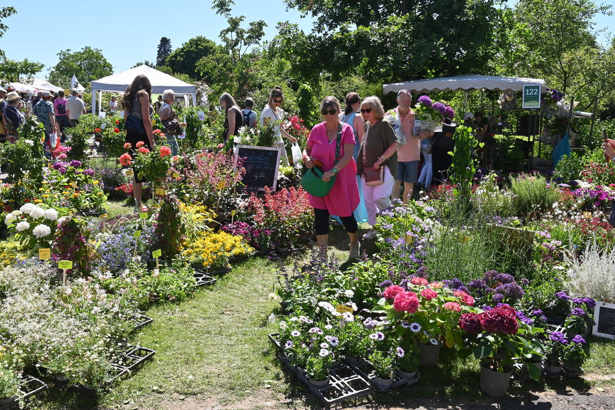 GartenLife2025FOTOS MEYER_43