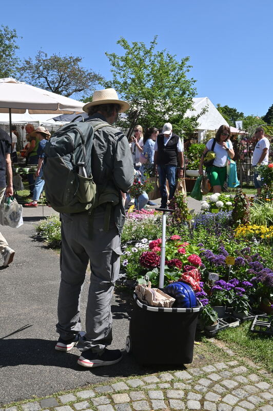 GartenLife2025FOTOS MEYER_46