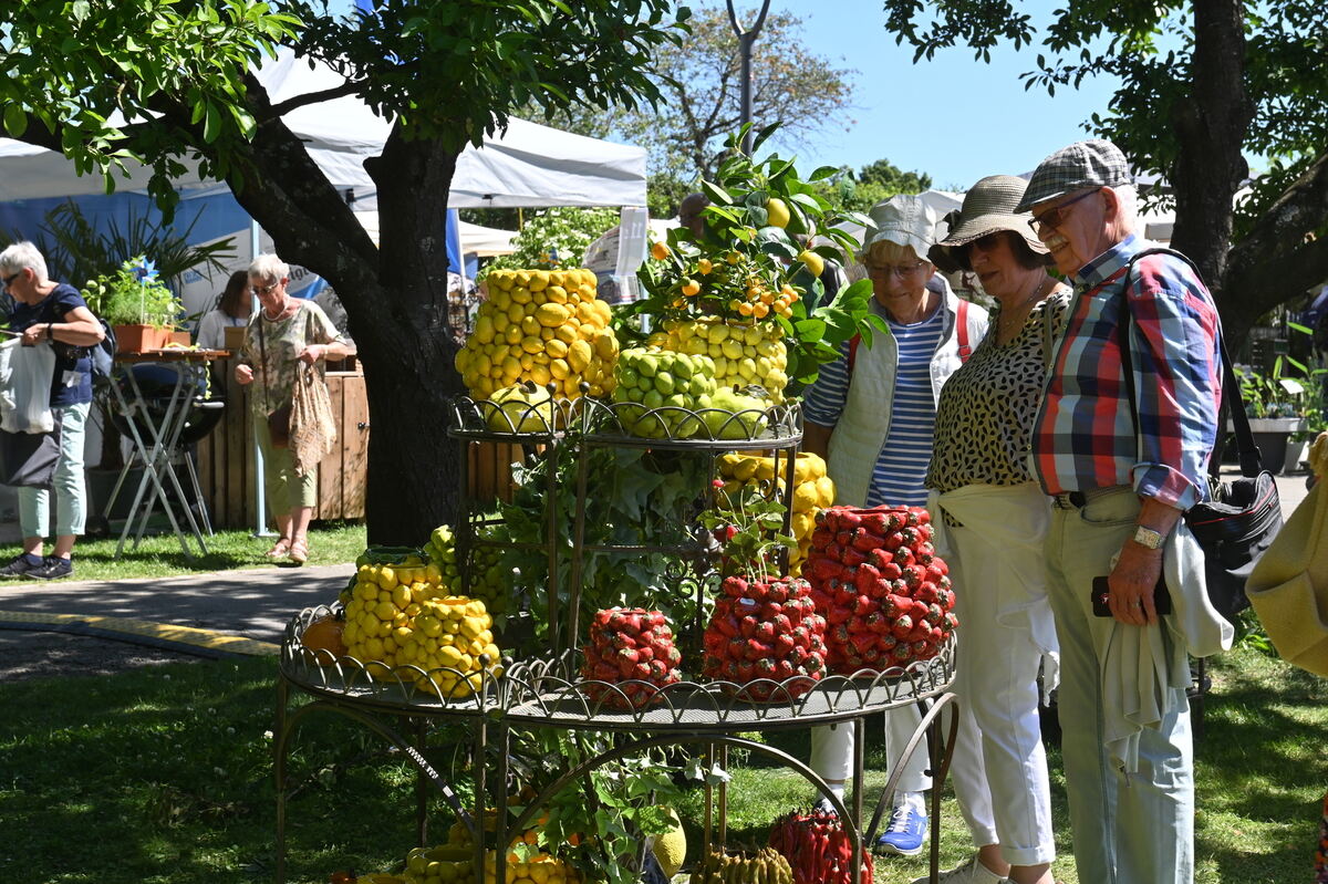 GartenLife2025FOTOS MEYER_47