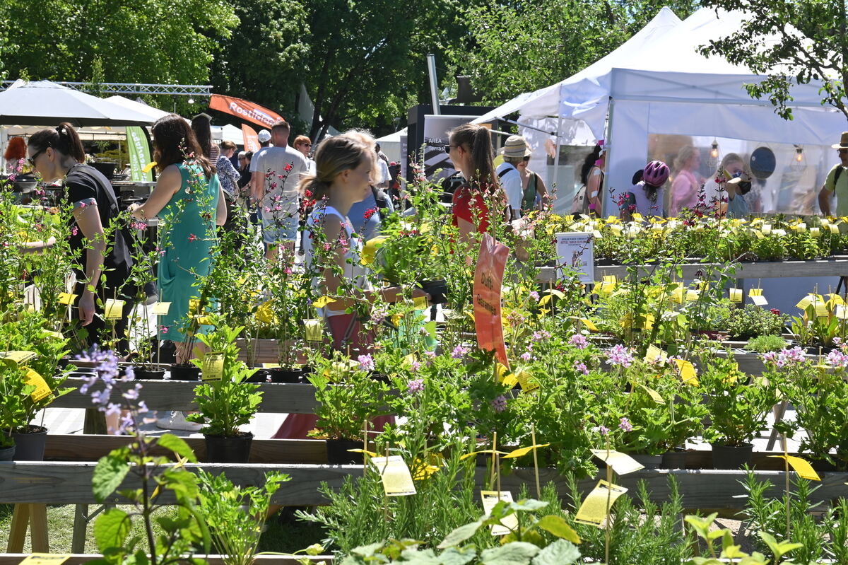 GartenLife2025FOTOS MEYER_13