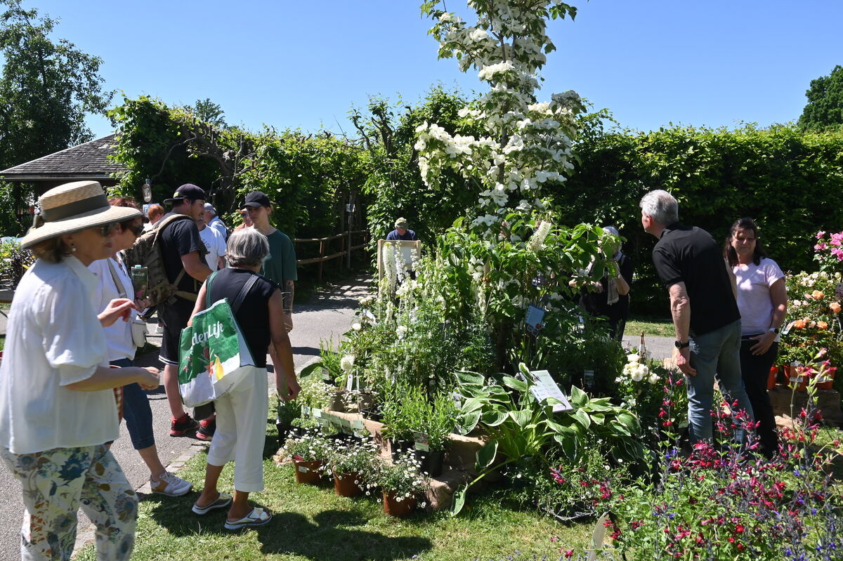 GartenLife2025FOTOS MEYER_14