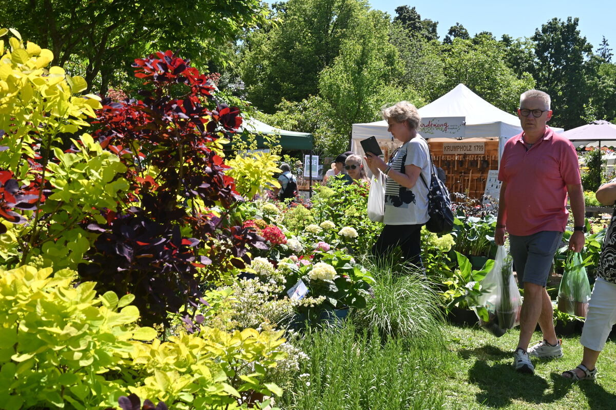 GartenLife2025FOTOS MEYER_19