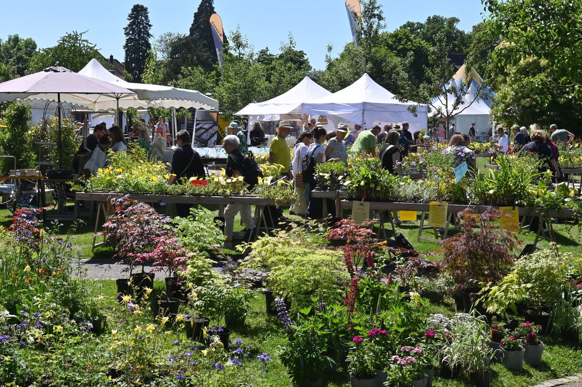 GartenLife2025FOTOS MEYER_20