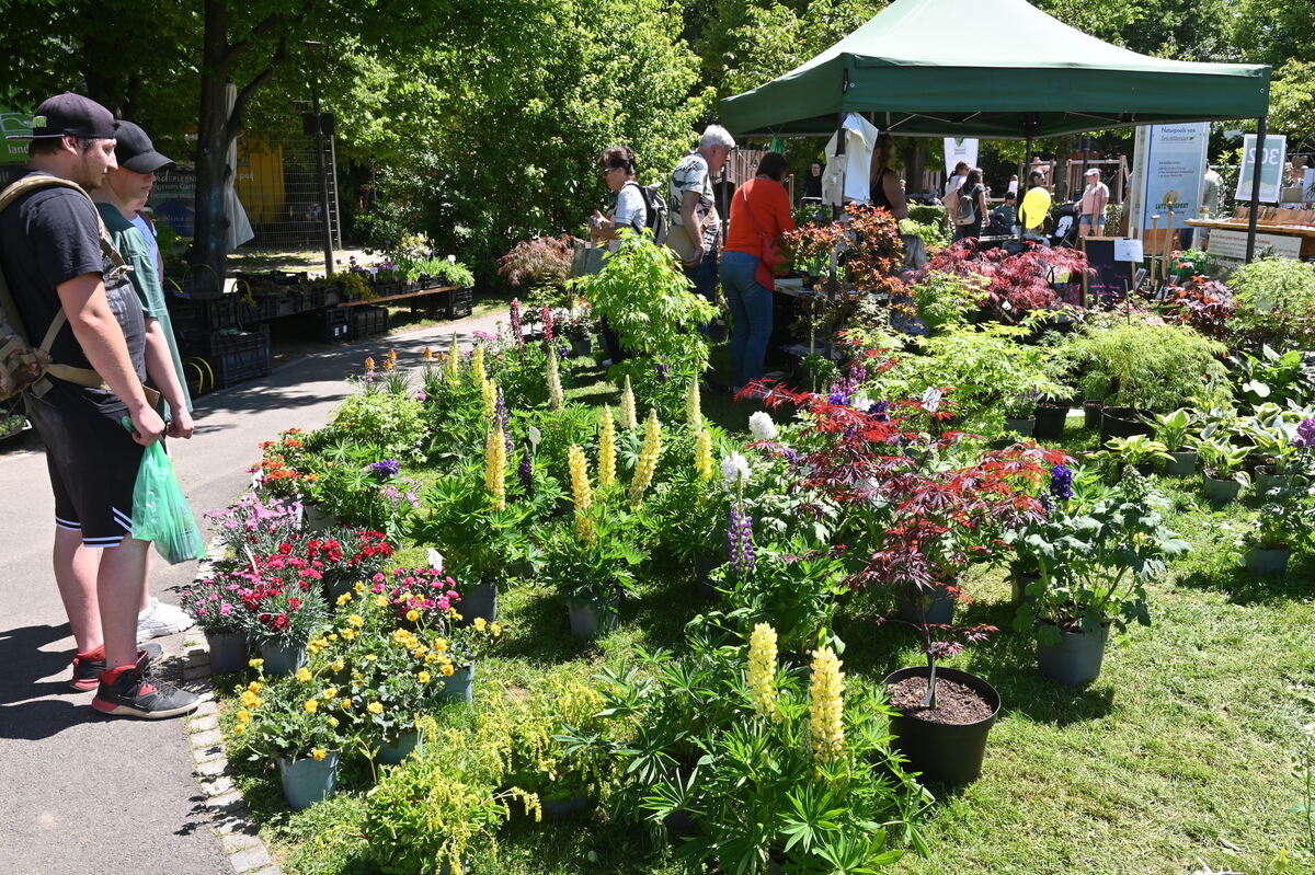 GartenLife2025FOTOS MEYER_21