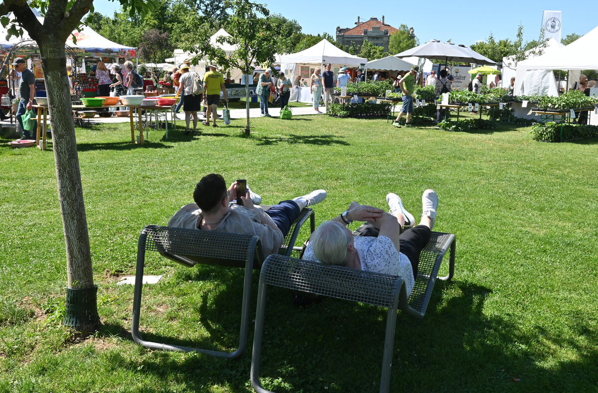 GartenLife2025FOTOS MEYER_24