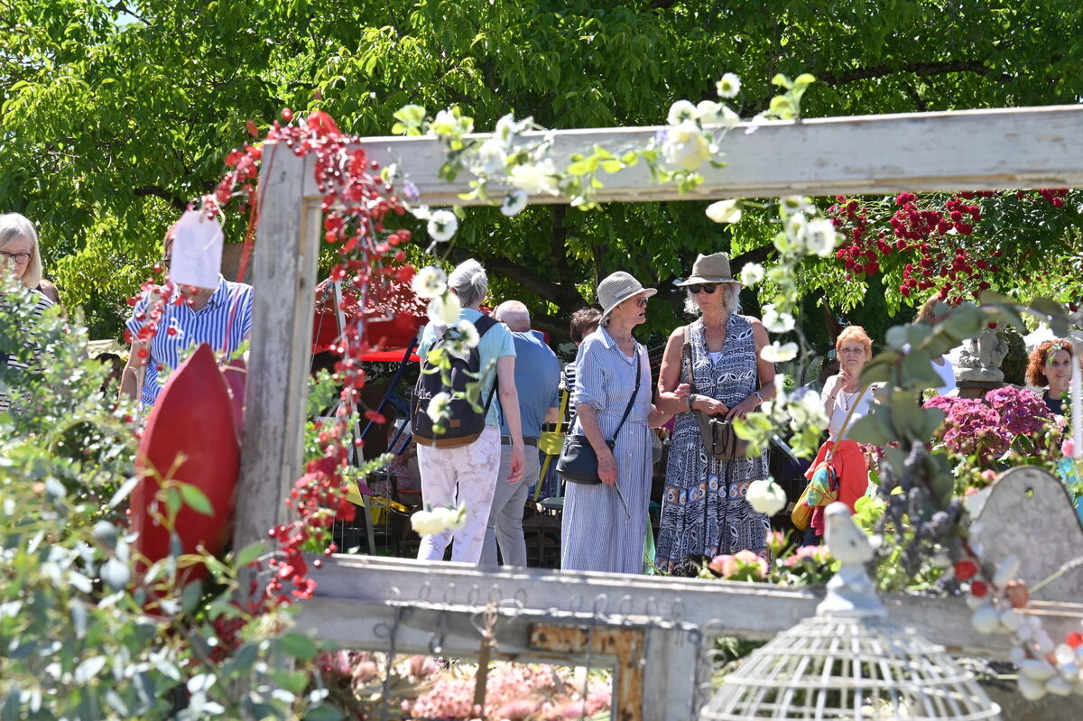 GartenLife2025FOTOS MEYER_27