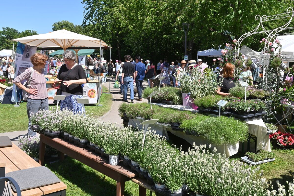 GartenLife2025FOTOS MEYER_28