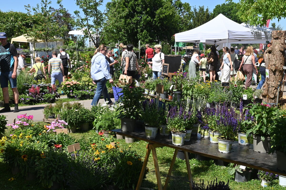 GartenLife2025FOTOS MEYER_30