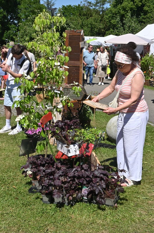 GartenLife2025FOTOS MEYER_36