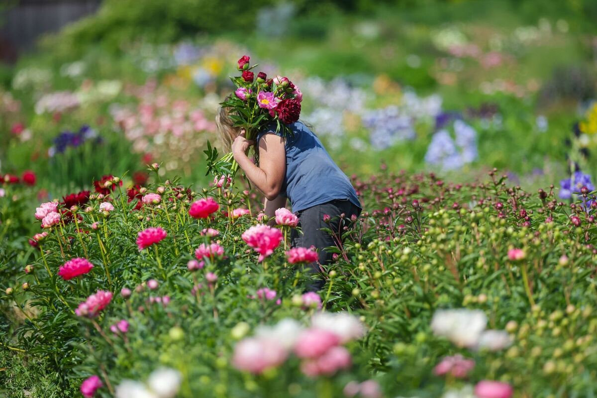 Wetter in Baden-Württemberg Wetter in Baden-Württemberg