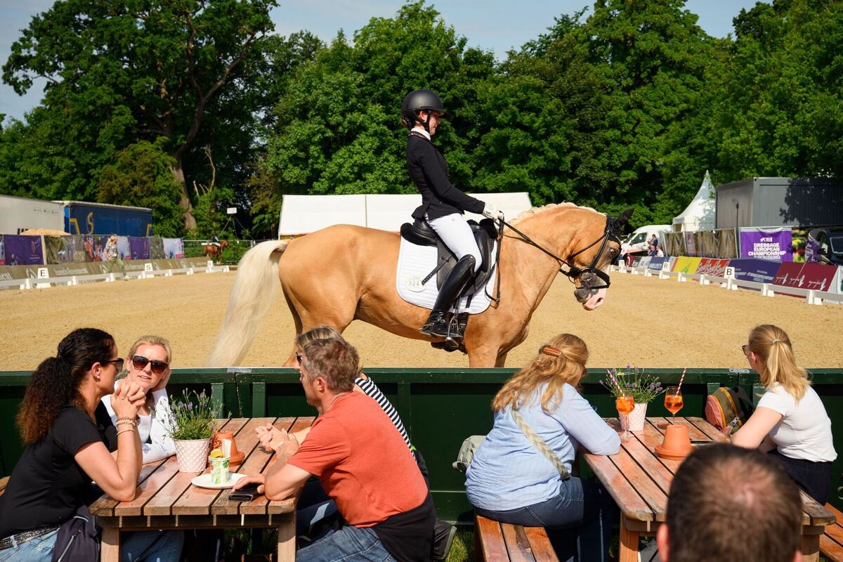 Pferdesport - Deutsches Spring- und Dressur Derby