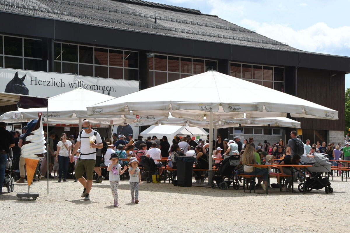 Kindermarbachtag 1 6 2025 FOTOS MEYER_40