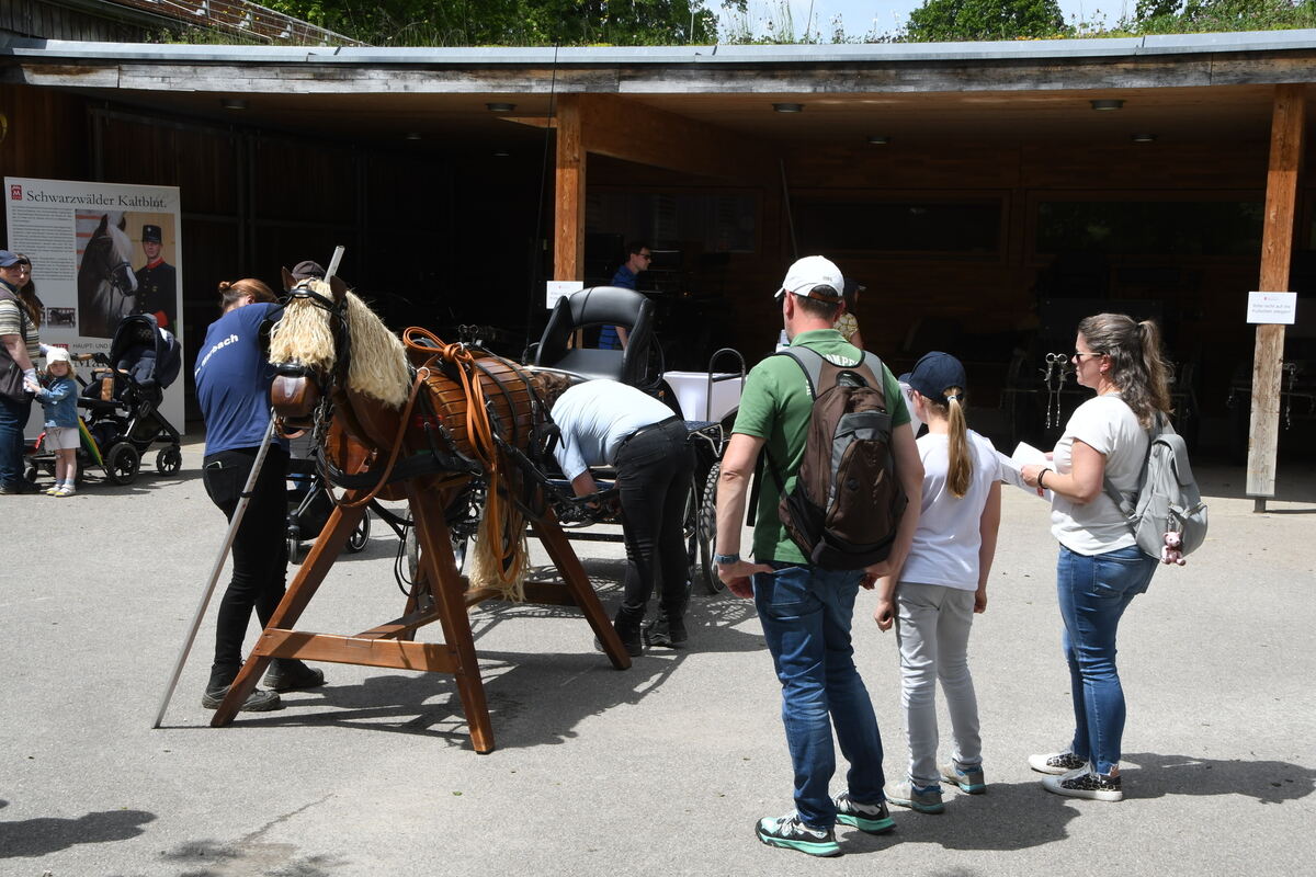 Kindermarbachtag 1 6 2025 FOTOS MEYER_43