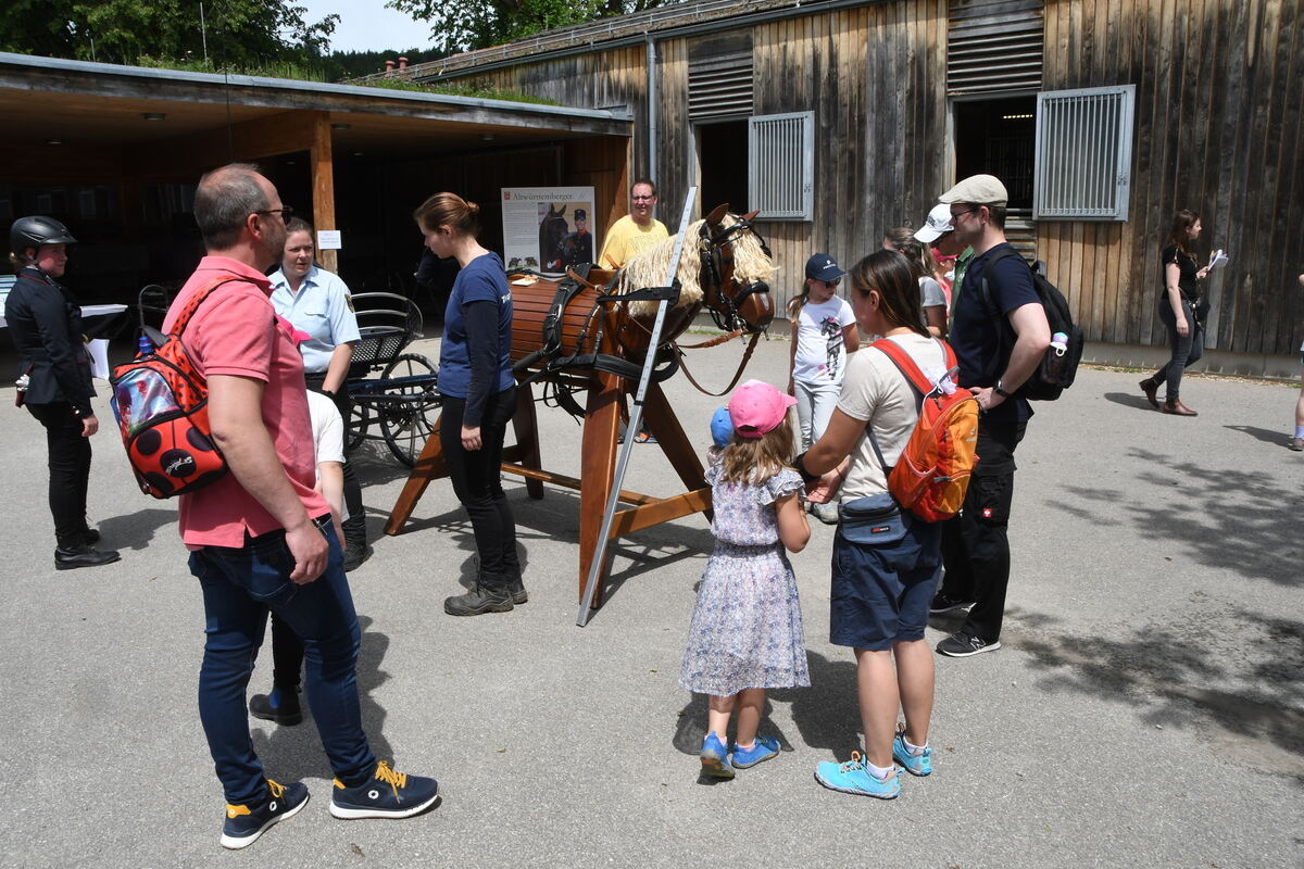 Kindermarbachtag 1 6 2025 FOTOS MEYER_45