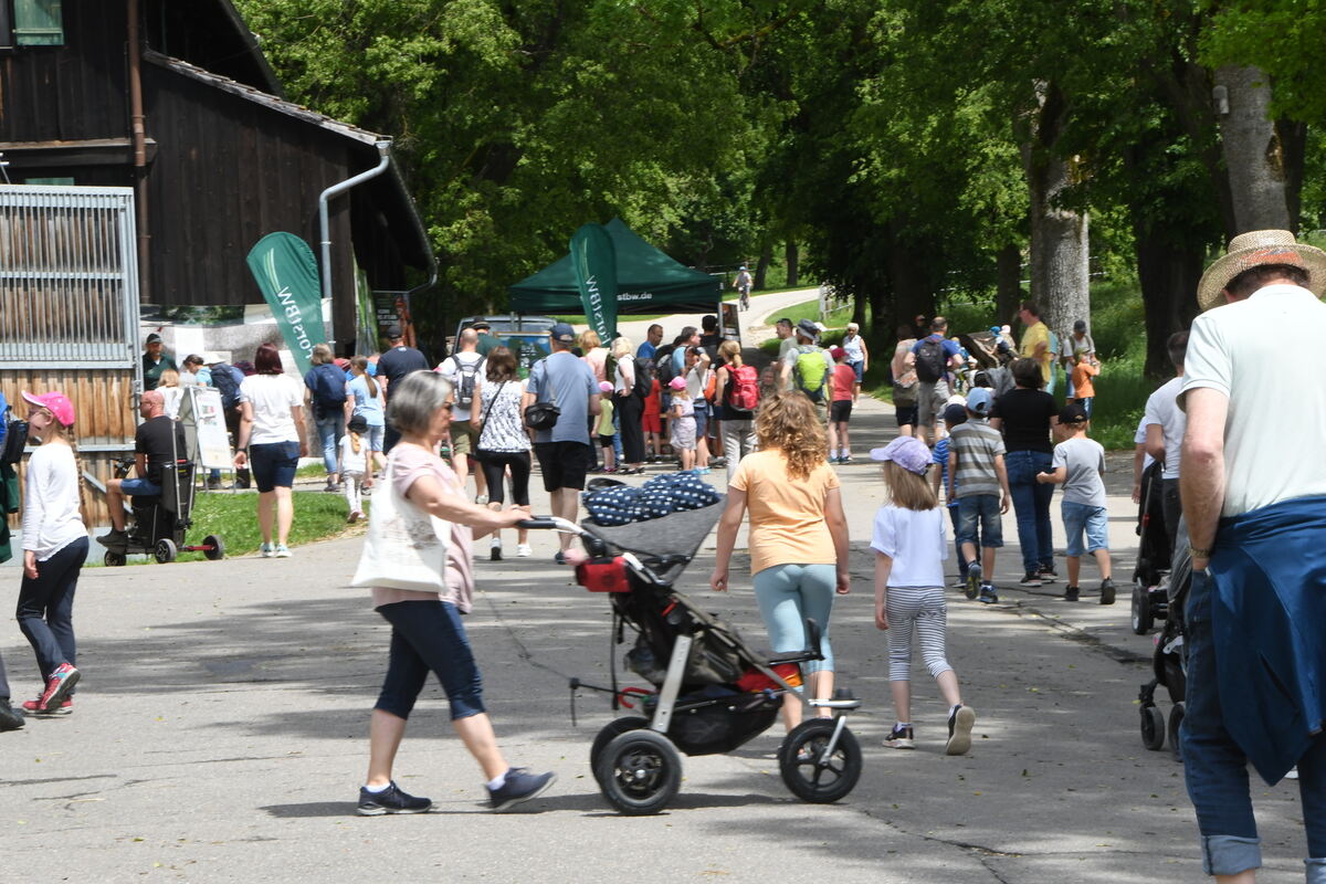 Kindermarbachtag 1 6 2025 FOTOS MEYER_54