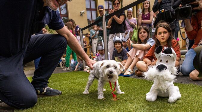 Museum für Kommunikation feiert 60. Geburtstag von Idefix