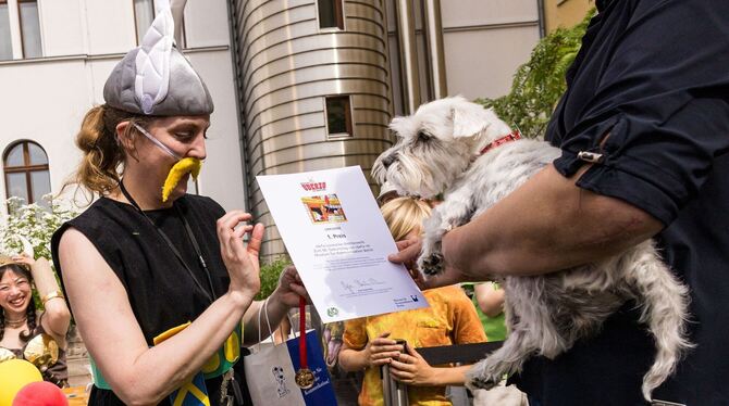 Museum für Kommunikation feiert 60. Geburtstag von Idefix