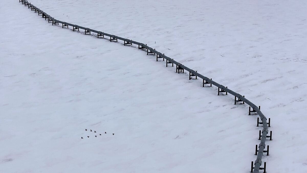 Trans-Alaska-Pipeline