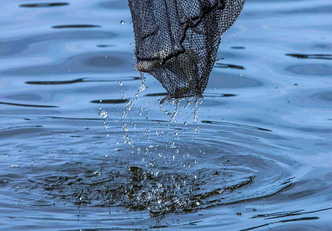 Angelaktion am Pfaffenteich