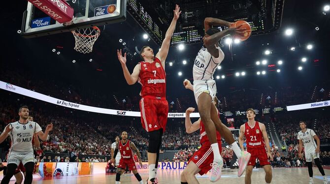 FC Bayern München - MLP Academics Heidelberg