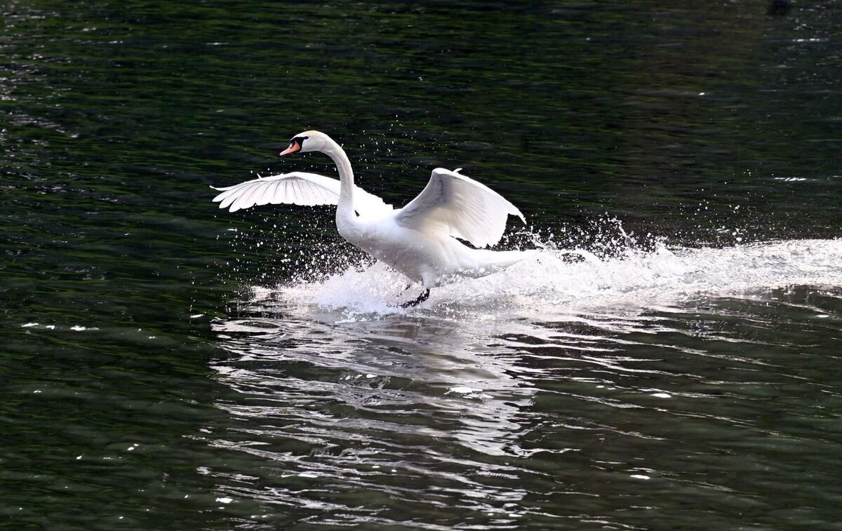 Pfingstwetter in Nordrhein-Westfalen