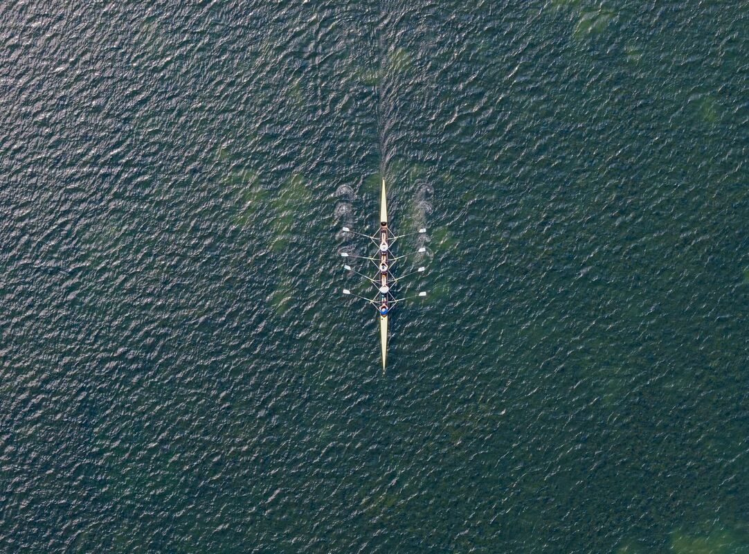 Sommer in Niedersachsen Sommer in Niedersachsen