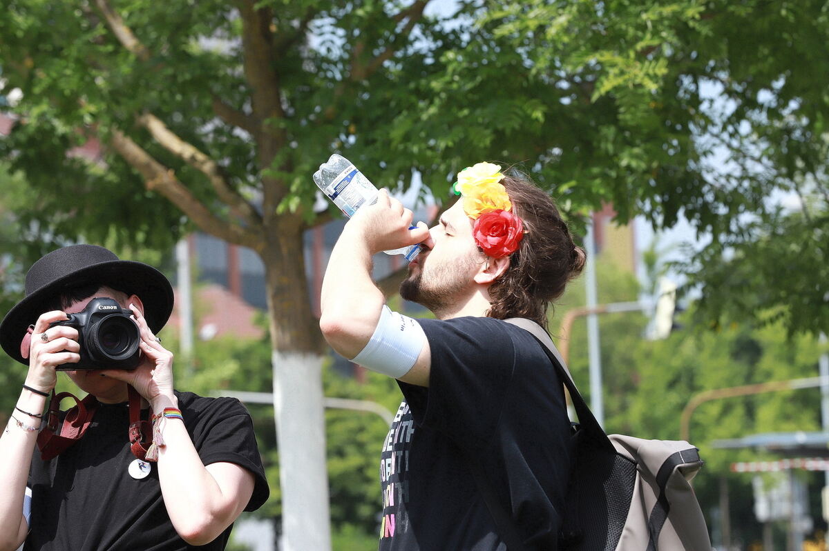 CSD_RT_diet_140625__39