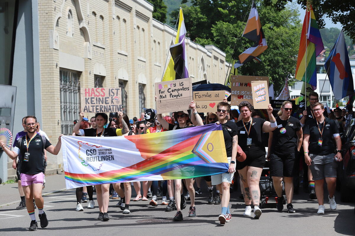 CSD_RT_diet_140625__43