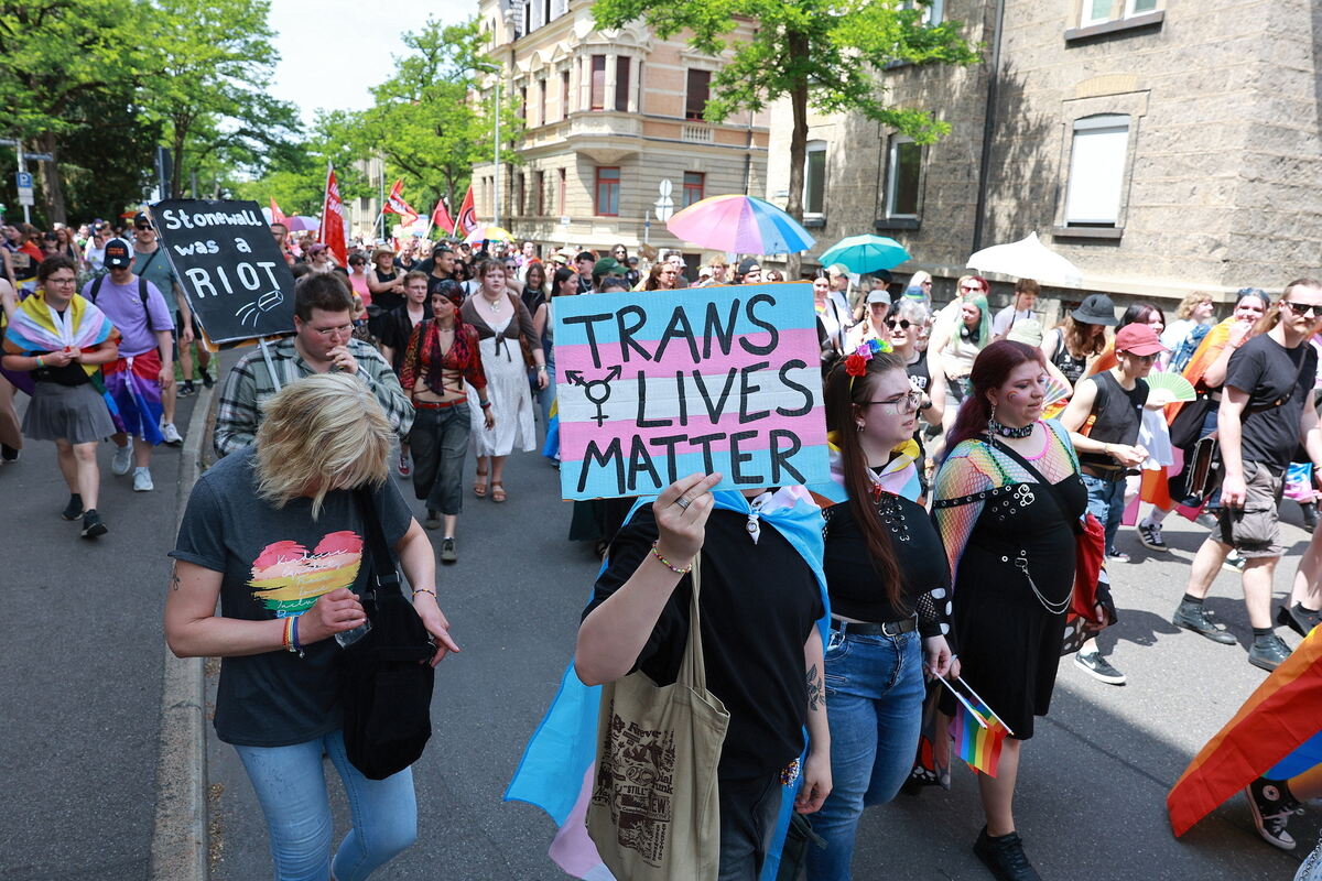 CSD_RT_diet_140625__05