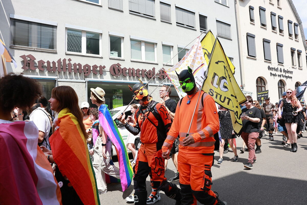 CSD_RT_diet_140625__06