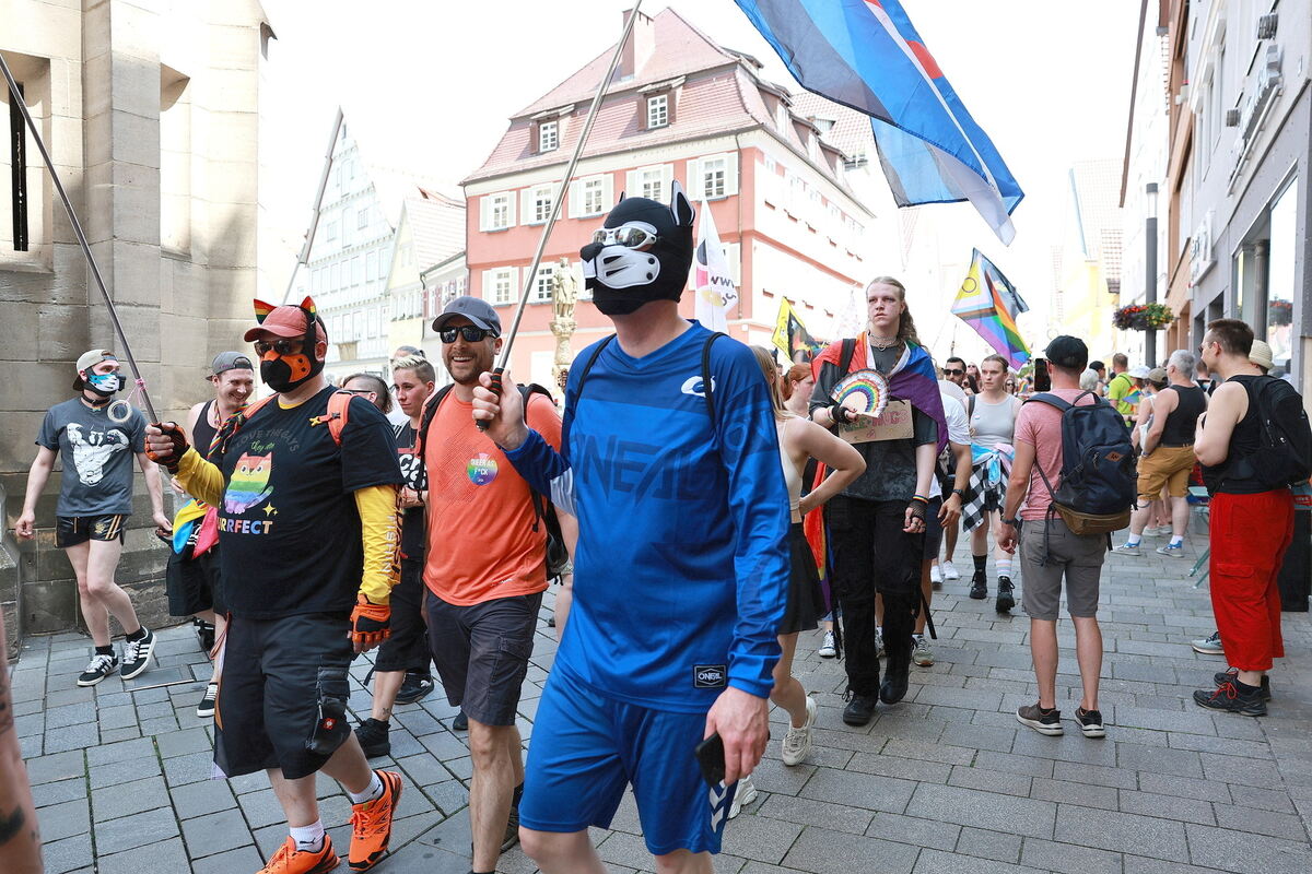 CSD_RT_diet_140625__07-1