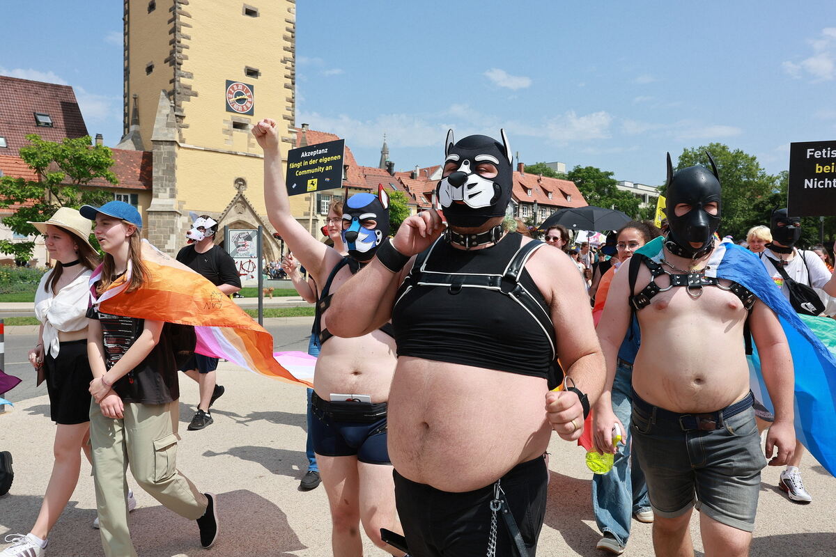 CSD_RT_diet_140625__08