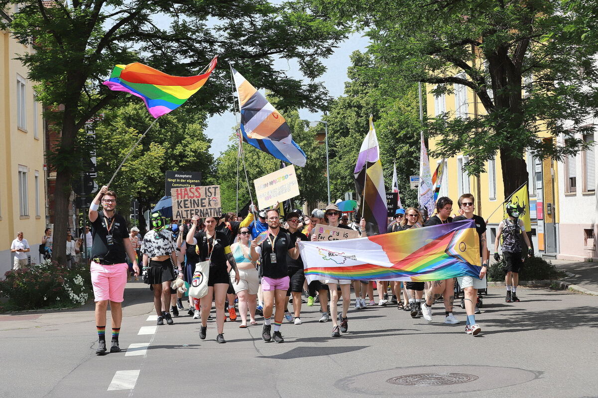 CSD_RT_diet_140625__09