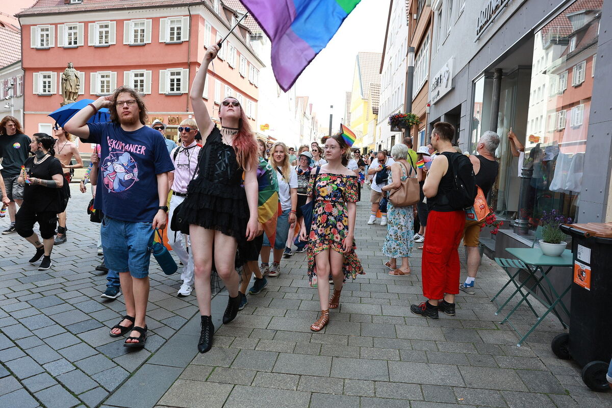 CSD_RT_diet_140625__10