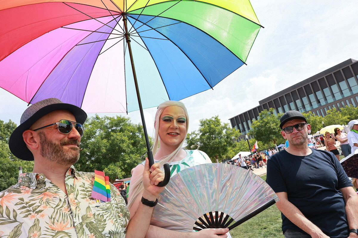 CSD_RT_diet_140625__12