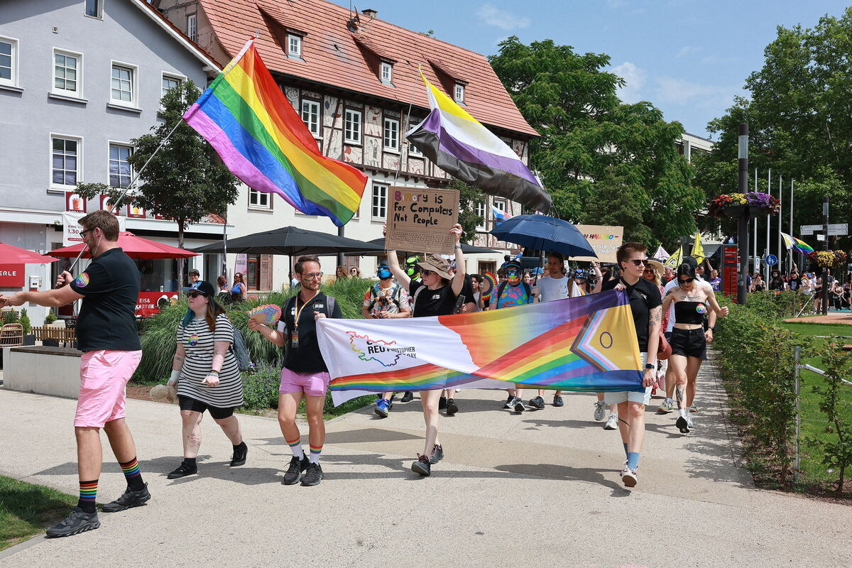 CSD_RT_diet_140625__13