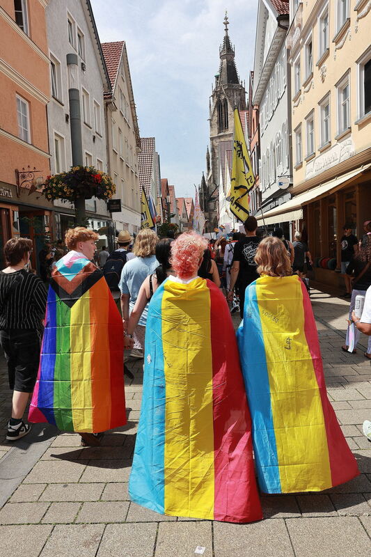 CSD_RT_diet_140625__21