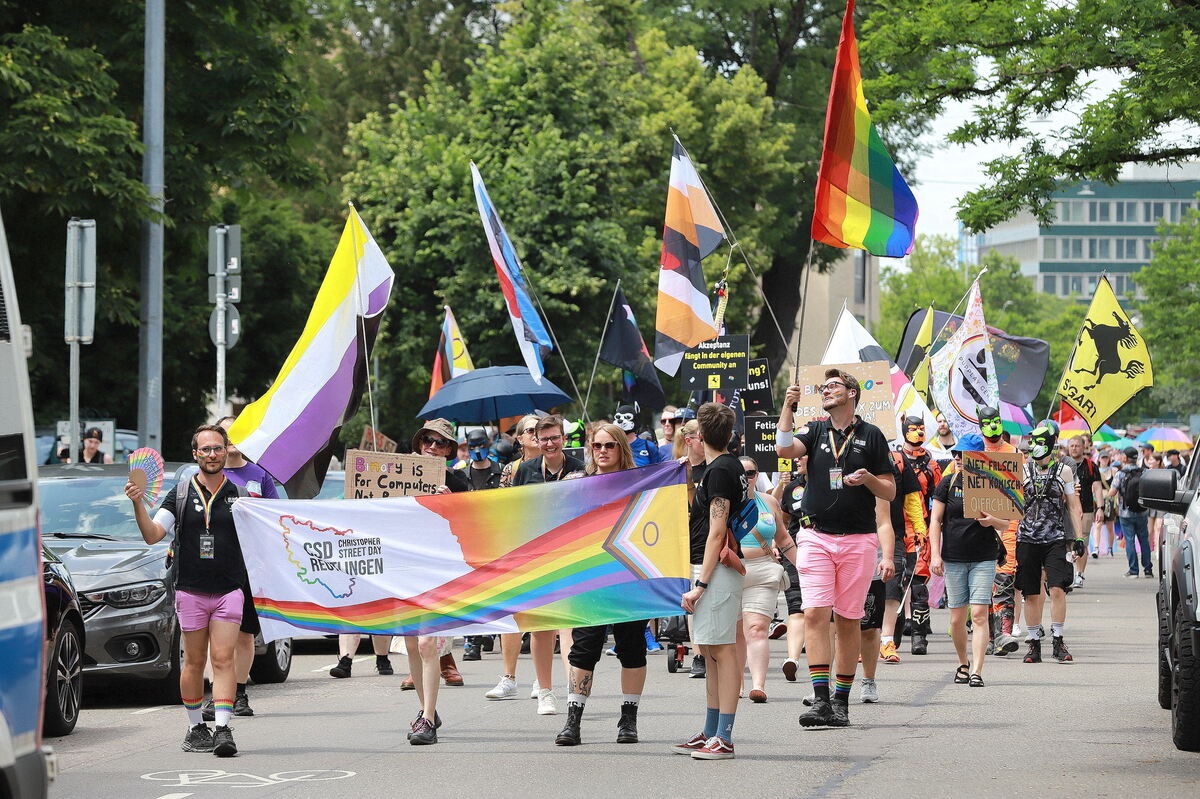 CSD_RT_diet_140625__25