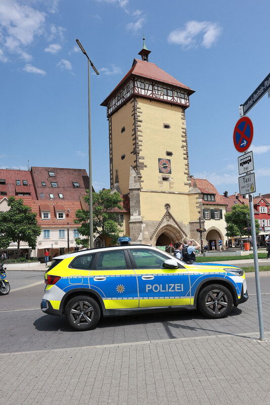 CSD_RT_diet_140625__29